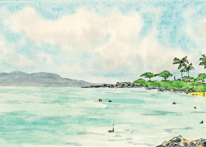 Tobago Original Art